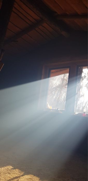 Vand Cabana ecologica zona Oradea