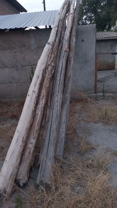 Тополь бревна...