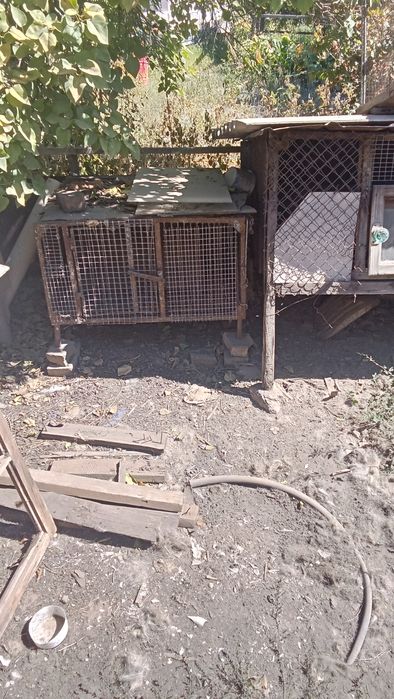 Продам клетки для кроликов