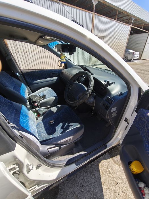 Продам Ипсум автомат