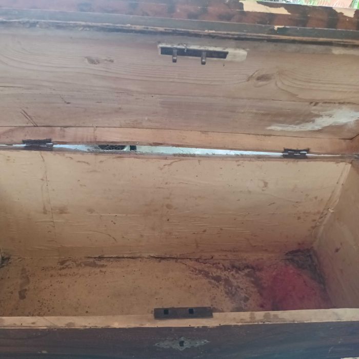 Старинна ракла-100лв