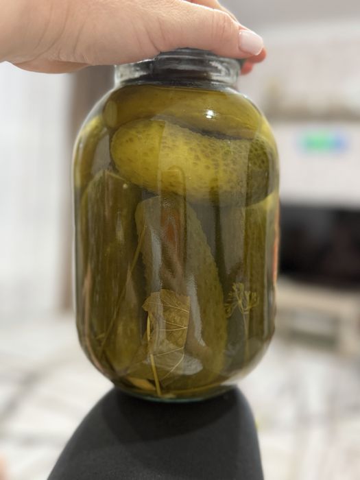Продам соленые огурцы