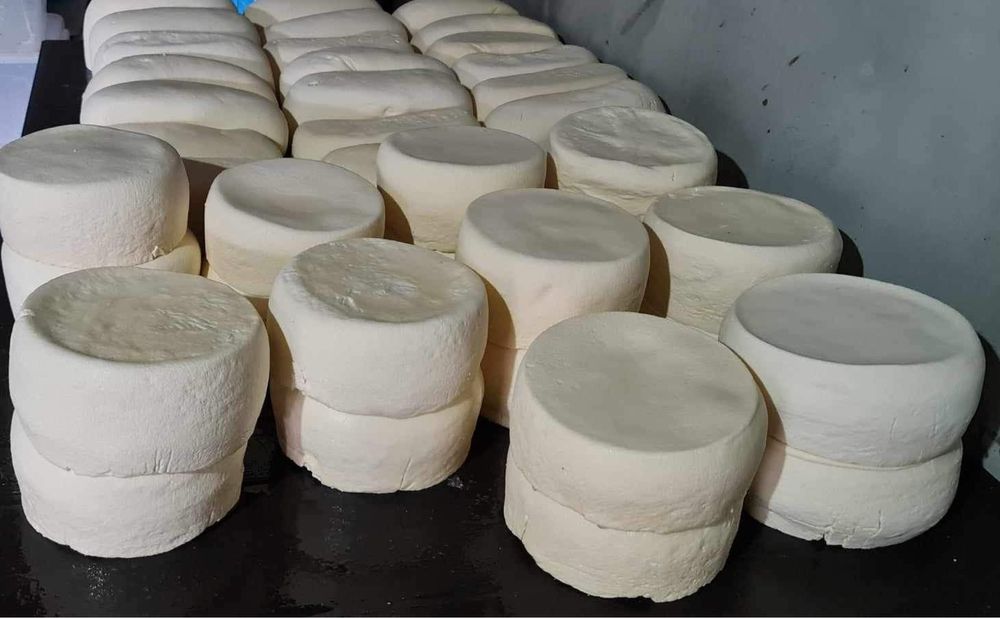 Branza de vaca semi-sarata