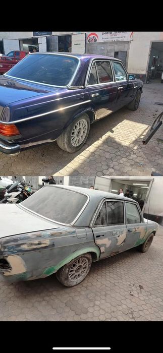 Костоправ моляр, покраска