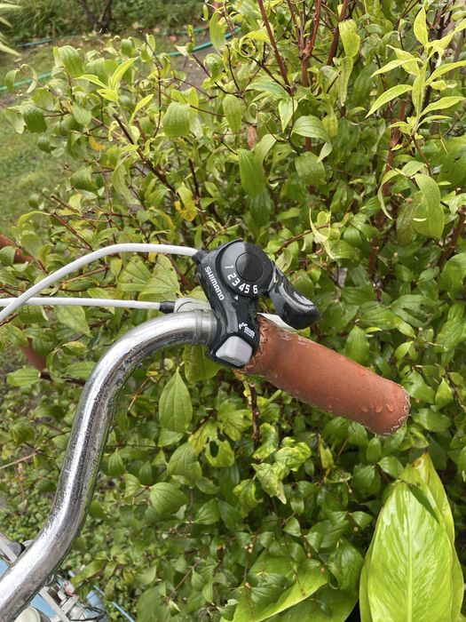 Bicicleta vintage Altenburger