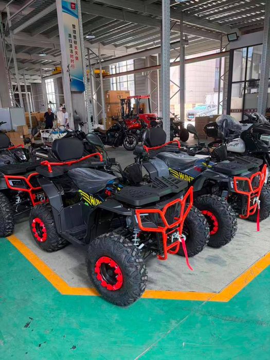 Квадроцикл TEZZA 08 HUNTER 200 кубов вариатор