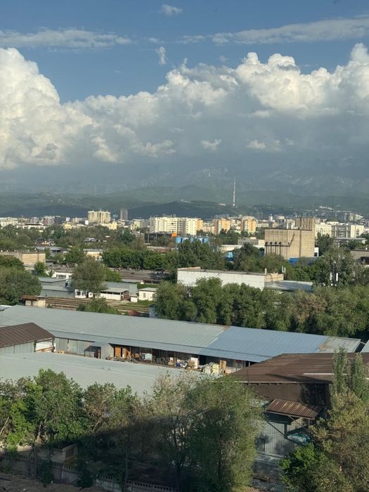 Сдам каартиру евродаушка