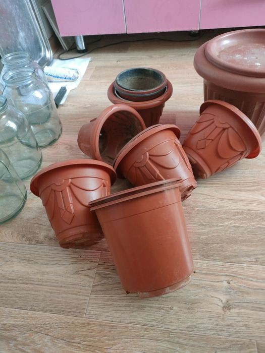 Комнатные цветы. Сад. Горшки