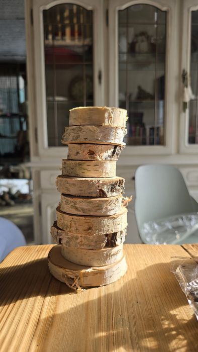 Спил дерева набор 10 шт