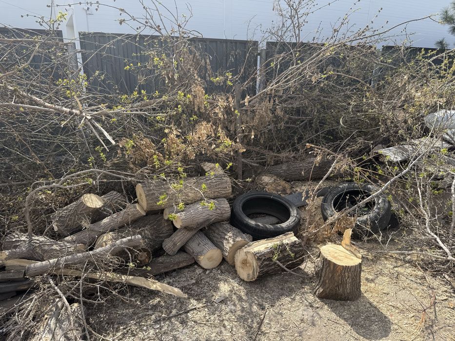 Отдам даром дрова