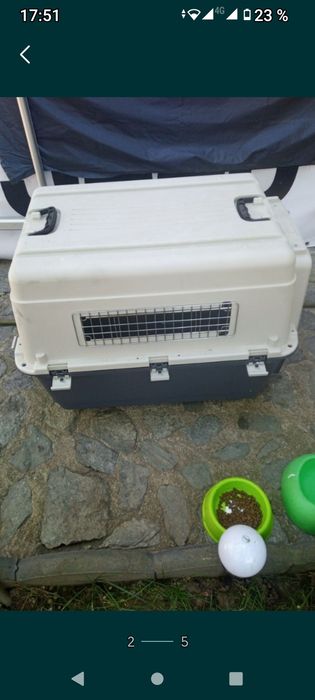 vând cușcă transport animale talie mare