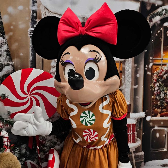 Costum Mascotă Minnie Mouse Disney de Crăciun cu Cap 3D Profesional – Rochie Turtă Dulce, Handmade, Petreceri și Evenimente