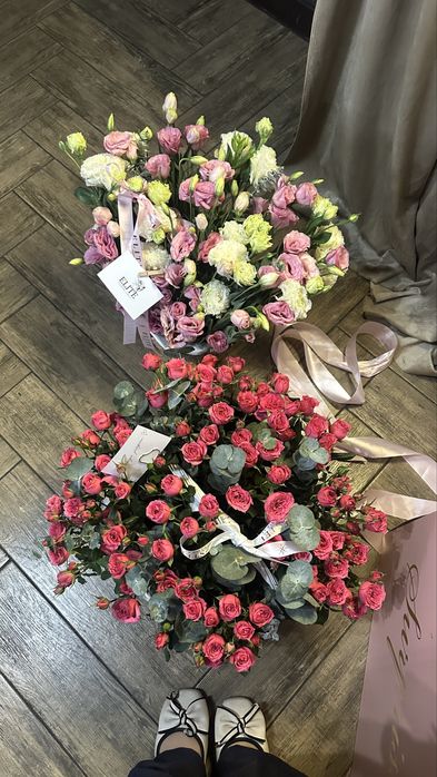 продам цветы свежие красивые