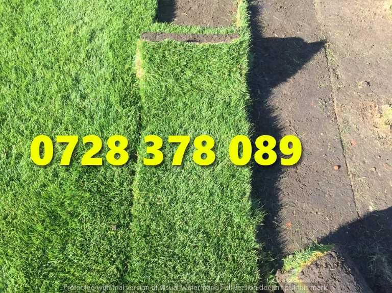 Gazon / Insamantare / Rulouri de Gazon