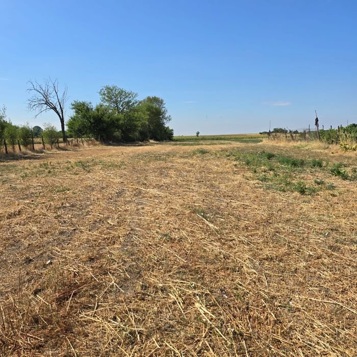 Vând casă Celaru- Dolj