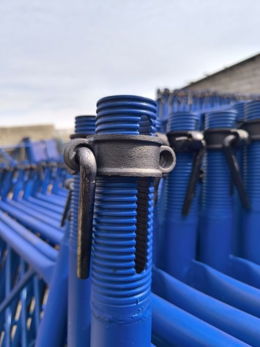 lesa bor turkiya manalitniy