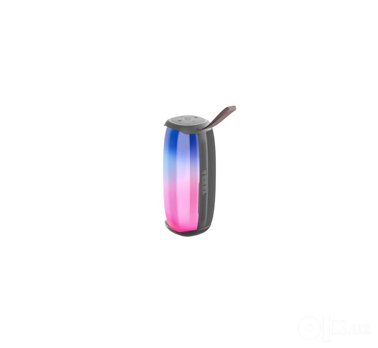 > Беспроводная портативная колонка HOPESTAR P50 (Bluetooth)