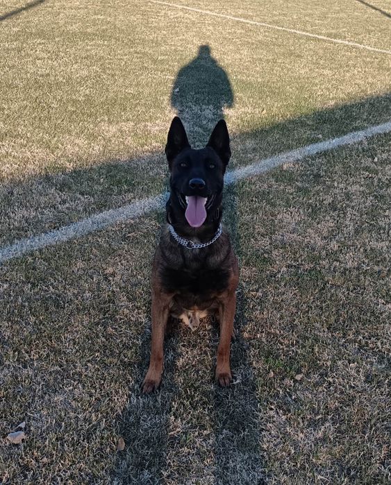 Две мъжки бебета на по 2 месеца