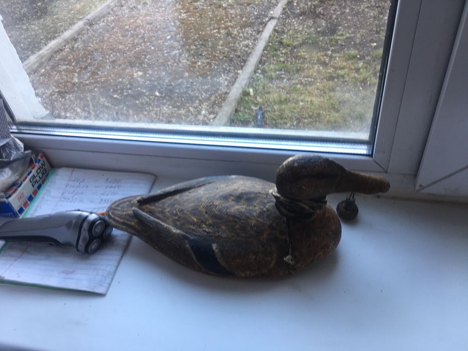 Продам реалистичное чучеле кряковой утки