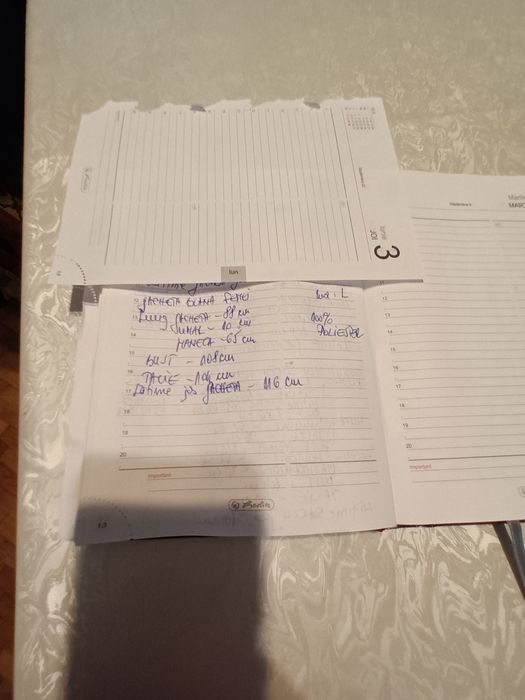 Blana tip palton marimea L