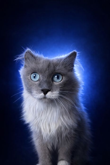 Пудра ищет семью. 8 месяцеы