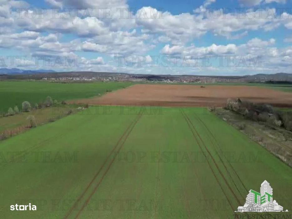 Vanzare Teren intravilan 24611 mp, Ideal retail, logistica, birouri