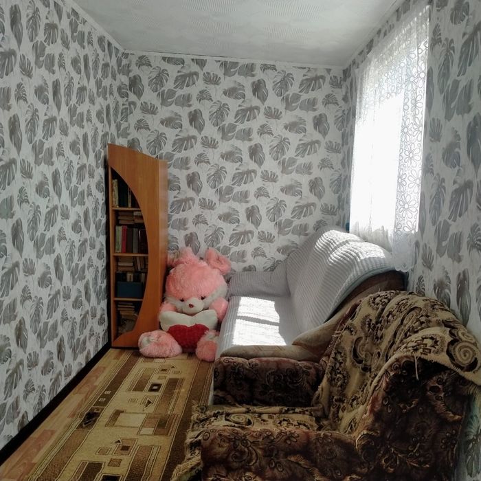 Продам дом  село Петровка
