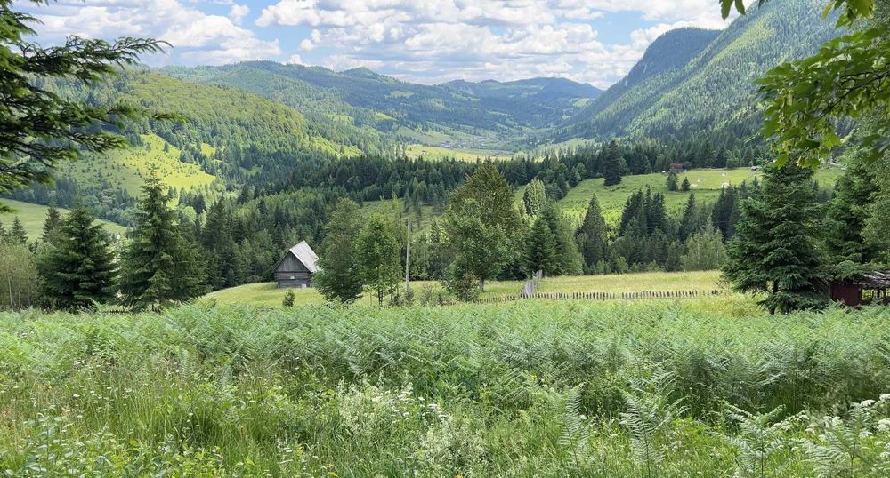 Teren Intravilan la Munte cu vedere panoramică