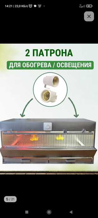 Браудер для цыплят