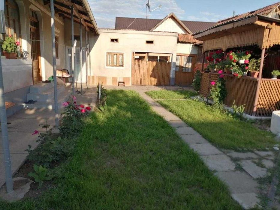 Casă + teren (6116 mp) Cucuieți, Verguleasa (Olt) – ideal locuință