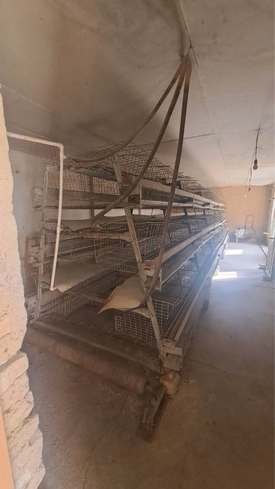 Tadbirkorlik 1qilishga