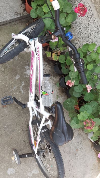 Колело колело reactor