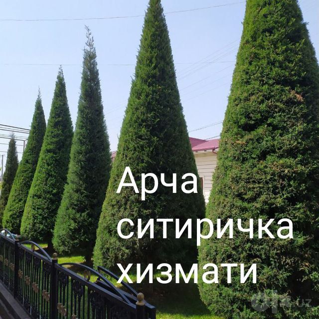 Sadovnik bogbon tok kesish archa gazon xizmati