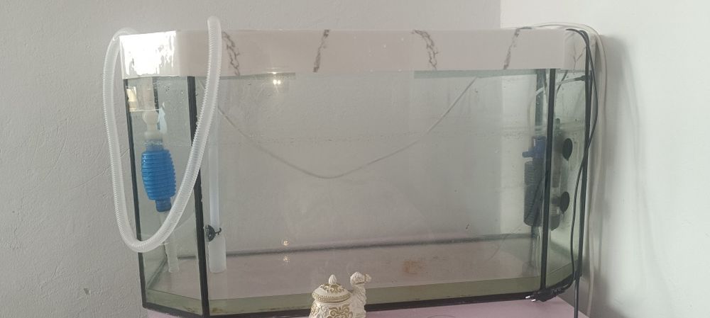 Аквариум 60л. Гурами