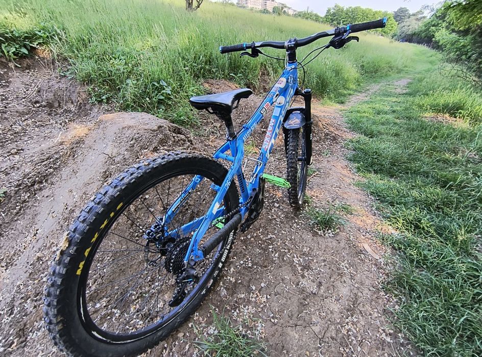 Cross dexter modificat