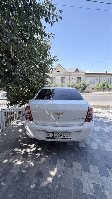 cobalt LTZ 2025 yil
