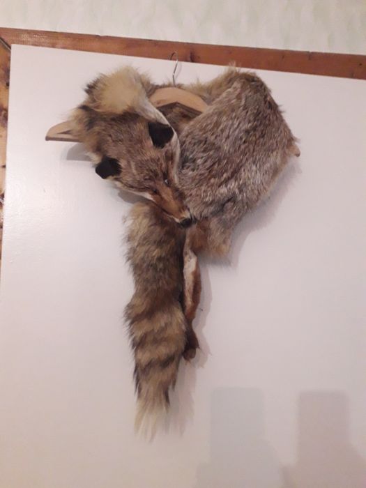 Яка от лисица 2 броя