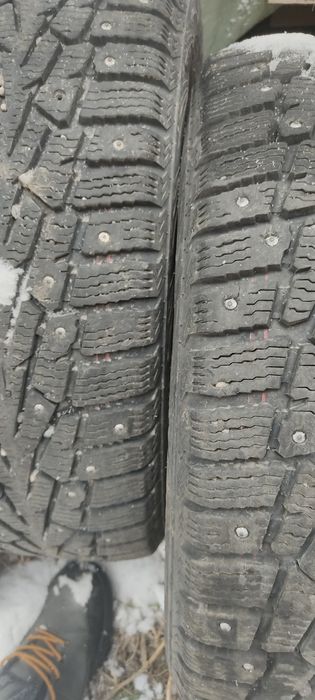 продам шины пара