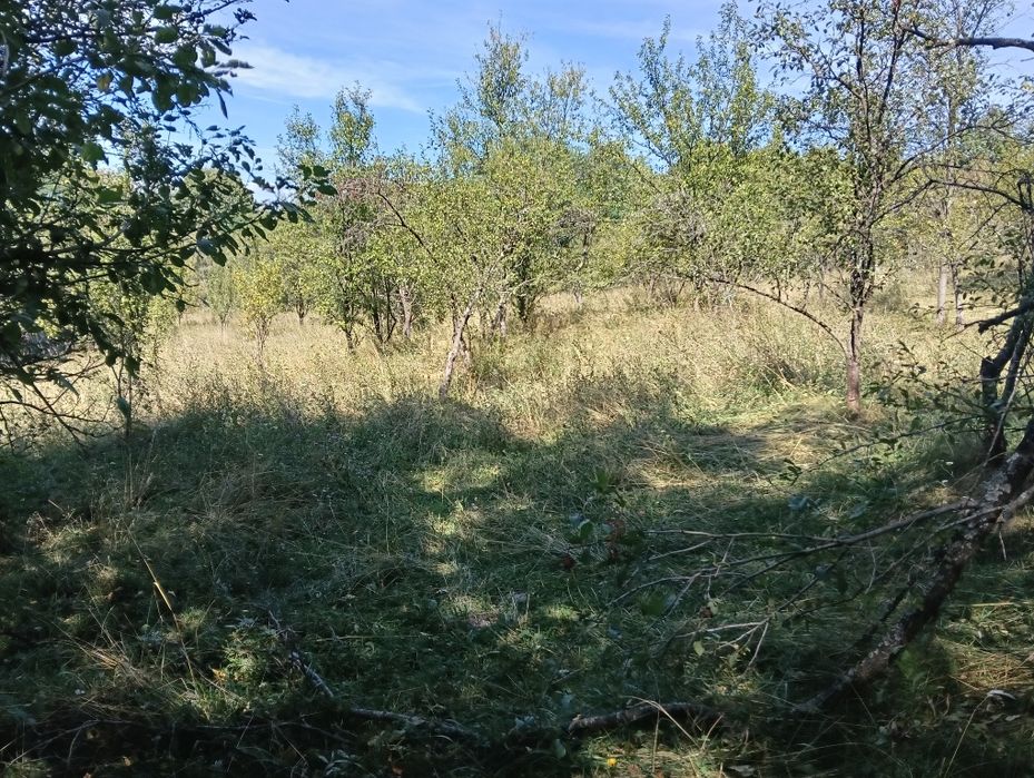 Vând  Teren Rădești Stâlpeni