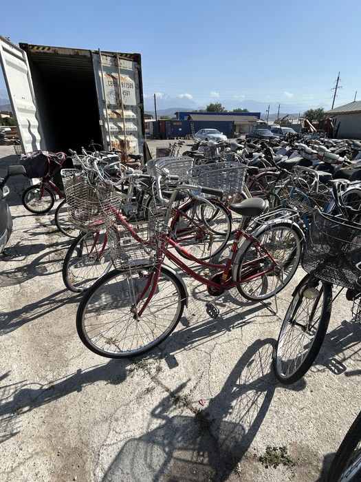 Велики из японии привозные