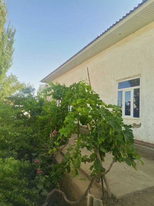 Дом + Земля участок