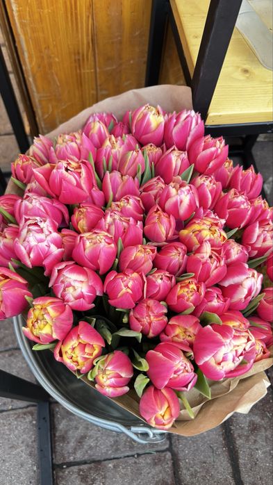 Тюльпаны оптом |300/в пачке 20 штук /