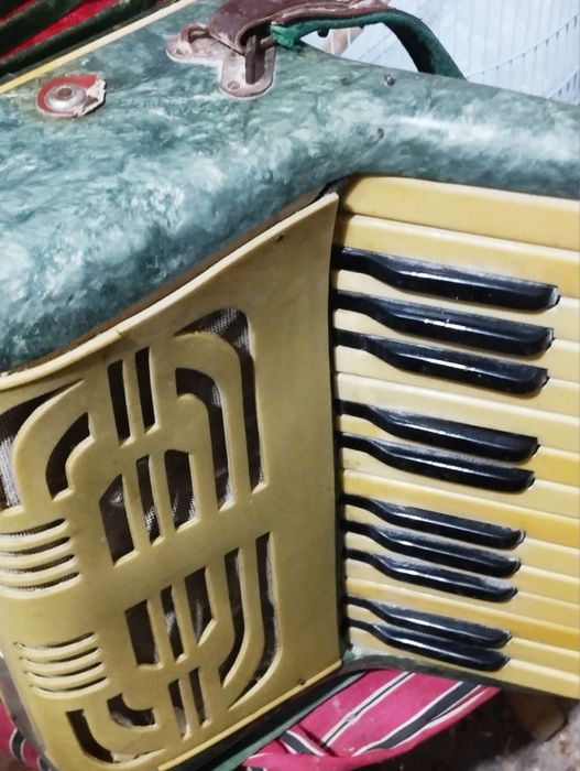 Аккордеон БИРСК.   .