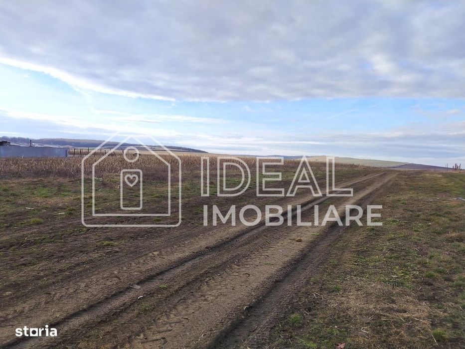 Teren intravilan parcelat – Șura Mică