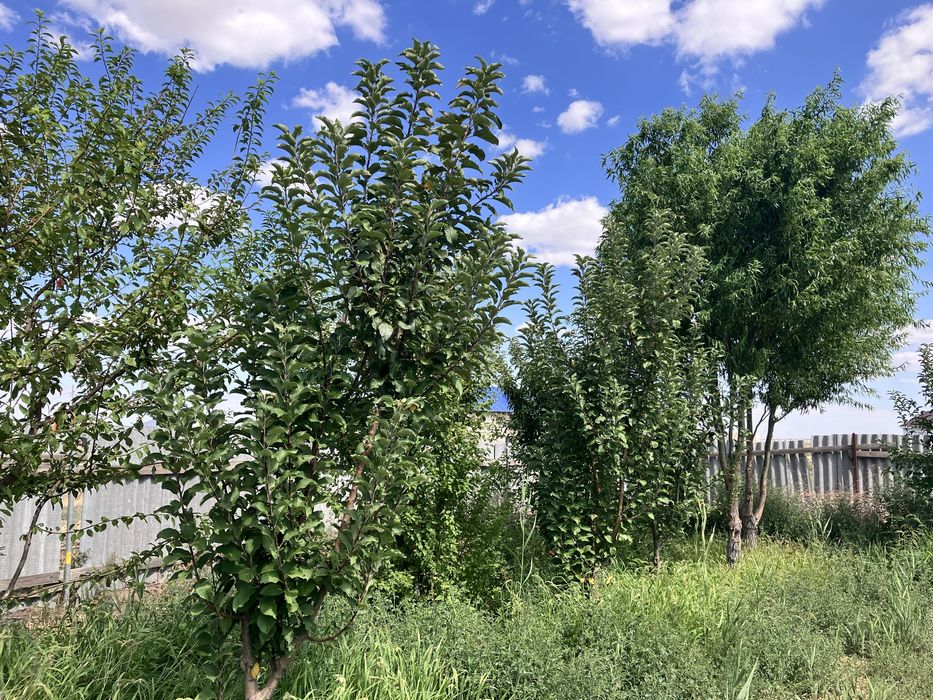 Земельный участок