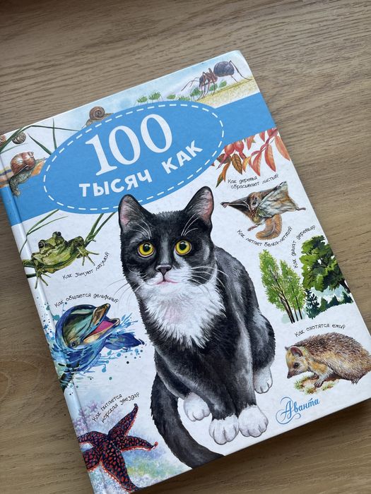 книга 100 тысяч каң