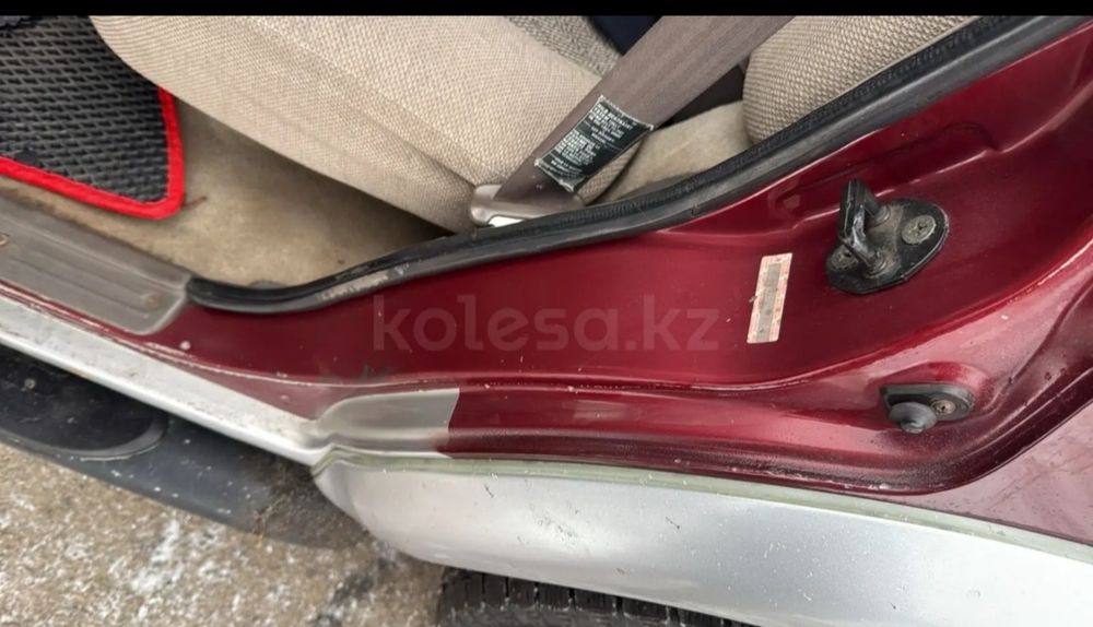 Продам живого Монтерика