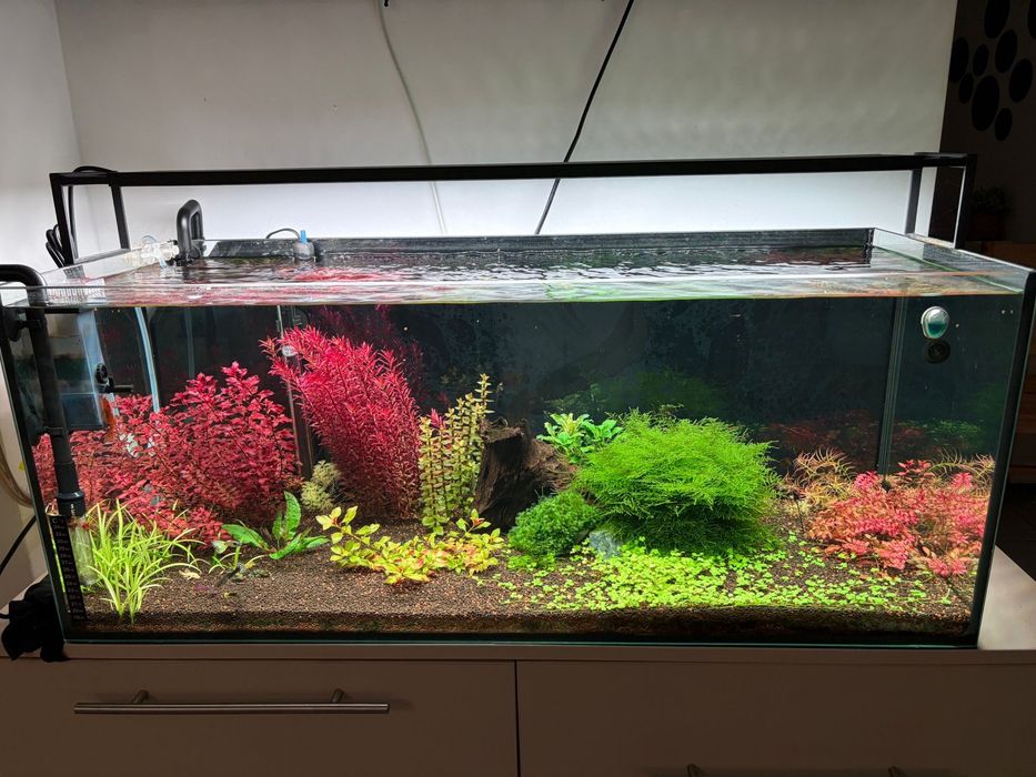 Acvariu 160L complet