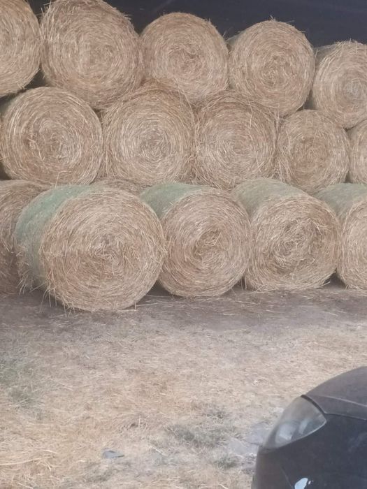 Продавам бали сено, бали сено и люцерна