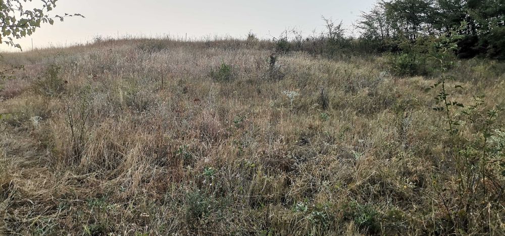 Продава се Земеделски имот в Кюстендил, в.з. Север -  кв.м за 2 €/дка - Снимка #1